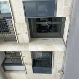 Picture of cat found at Paris