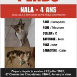 Picture of cat lost at Annecy