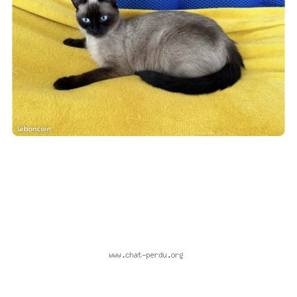 Photo 1/1 Mia Chat lost in Drancy