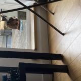 Picture of cat found at St Jacques De La Lande