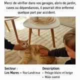 Picture of cat lost at Roz Landrieux
