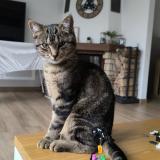 L&eacute;o