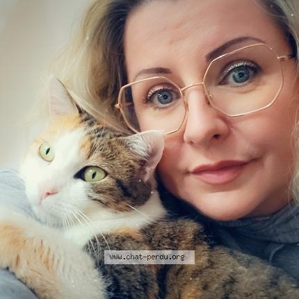 Photo 1/1 Shaya Chat lost in Chalons en champagne