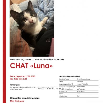 Photo 1/1 Luna Chat lost in Sion