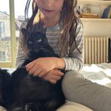 Picture of cat lost at Montgenevre