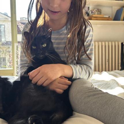 Photo 1/2 Menelao Chat lost in Montgenevre