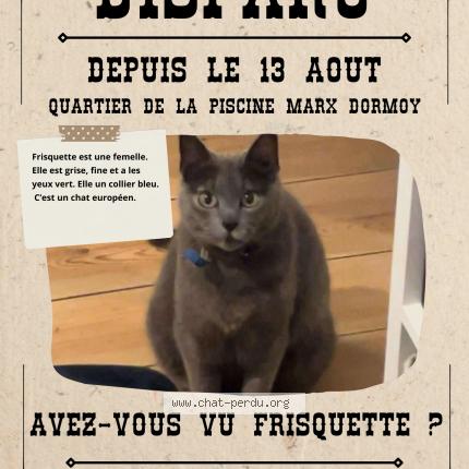 Photo 1/1 Frisquette Chat lost in Lille