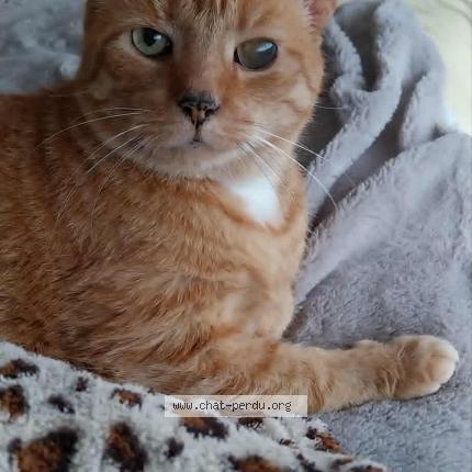 Photo 1/1 Gaston Chat lost in Roubaix