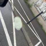 Picture of cat found at Riom