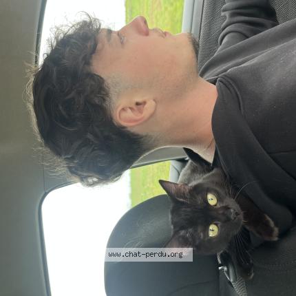 Photo 1/1 Mia Chat lost in Betheny