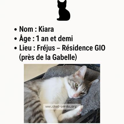 Photo 1/1 KIARA Chat lost in Frejus