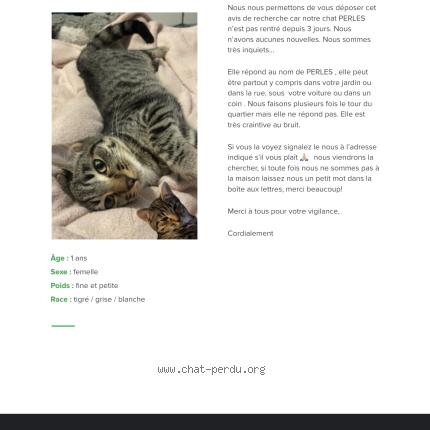 Photo 1/1 Perles Chat lost in Croix