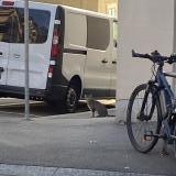 Picture of cat found at Lausanne