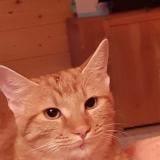 Milo
