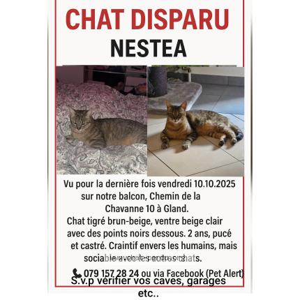 Photo 1/1 Nestea Chat lost in Gland