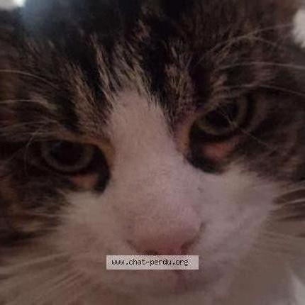 Photo 1/1 DJ Chat lost in Lens