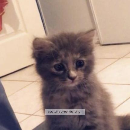 Photo 1/1 Stitch Chat lost in Andance