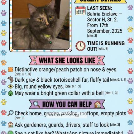 Photo 4/4 Gullu Chat lost in Islamabad