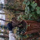 Picture of cat found at Dourdan