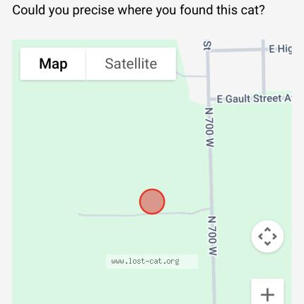 Photo 1/1 Found cat Found in Warsaw