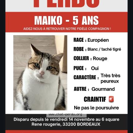 Photo 1/1 Ma&iuml;ko Chat lost in Bordeaux