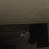 Picture of cat found at Magnanville