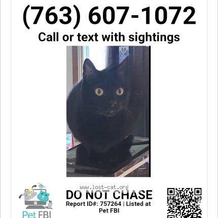 Photo 1/1 Heidi Hautlala Chat lost in Maple grove