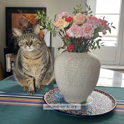 Photo 1/1 Bernard Chat lost in Le mans