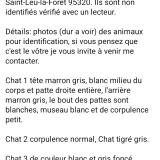 Picture of cat found at Saint Leu La Foret