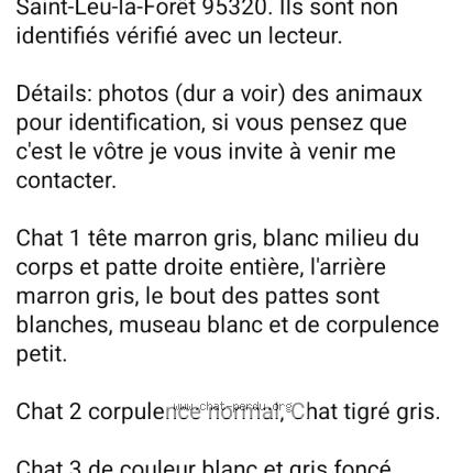 Photo 1/1 Found cat Found in Saint leu la foret