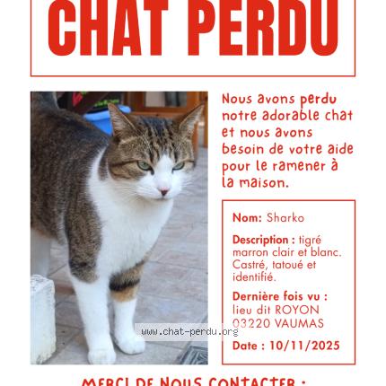 Photo 1/1 Sharko Chat lost in Vaumas