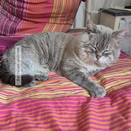 Photo 1/1 Jah Chat lost in Marseille