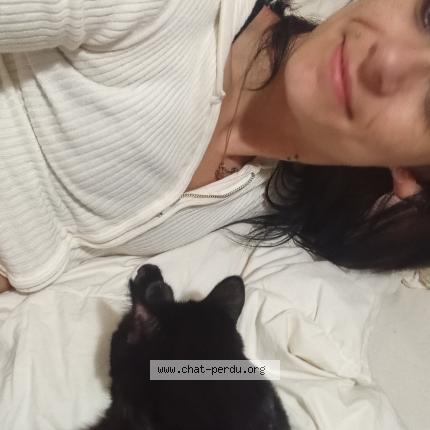 Photo 1/1 Demi-Lune Chat lost in Quebec