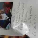 Picture of cat lost at Villefontaine