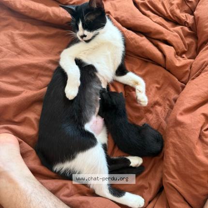 Photo 1/1 STYX Chat lost in Cannes