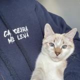 Picture of cat found at Fontenay Sous Bois