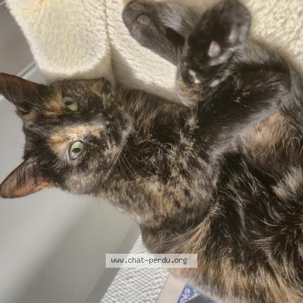 Photo 1/1 Whirlpool Chat lost in Saint cloud