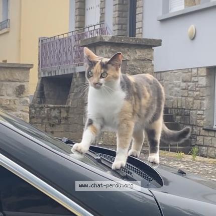 Photo 1/1 Tina Chat lost in Pouldergat