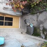 Picture of cat found at Aubert