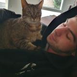 Picture of cat lost at Schitligheim