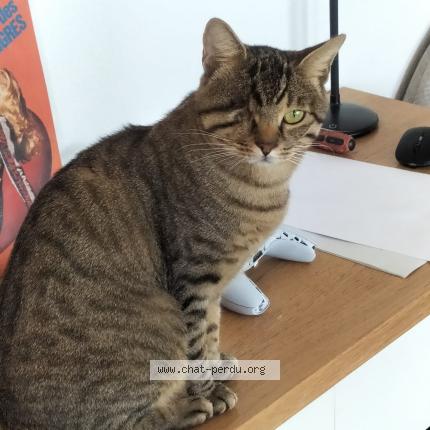 Photo 1/3 Speed Chat lost in Cannes