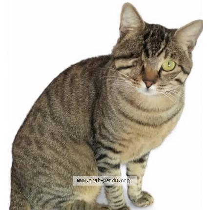 Photo 2/3 Speed Chat lost in Cannes