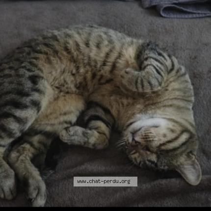 Photo 3/3 Speed Chat lost in Cannes