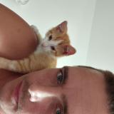 Picture of cat lost at Suze La Rousse