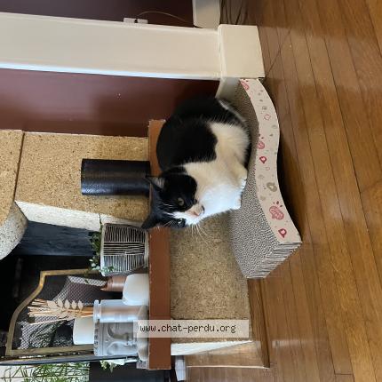 Photo 1/1 Channel Chat lost in Andresy