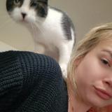 Picture of cat lost at Roville Devant Bayon