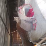 Picture of cat found at Albi