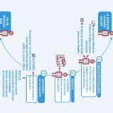 Picture of cat found at St Marcet