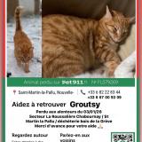 Picture of cat lost at Chabournay