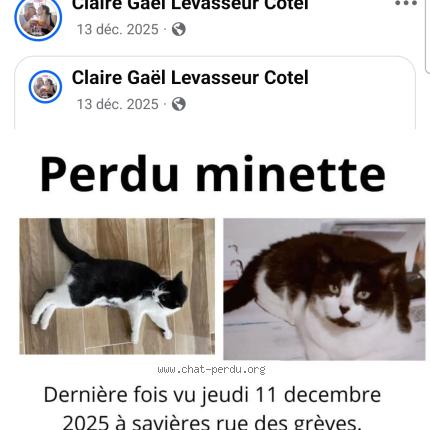 Photo 1/1 Minette Chat lost in Savieres